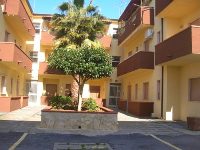 Vendita Appartamento Santa Maria Del Cedro